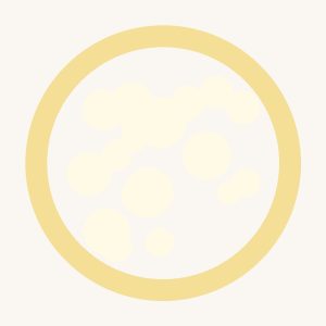 Creamy Alfredo Pasta